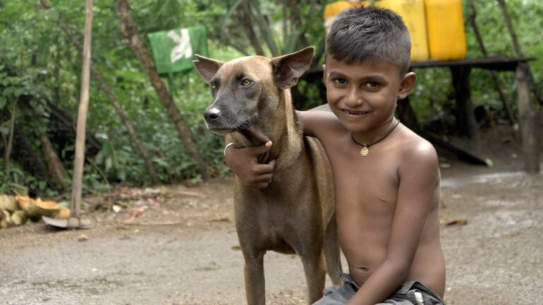 குடும்பத்தின் உயிரையே காப்பாற்றிய நாய்