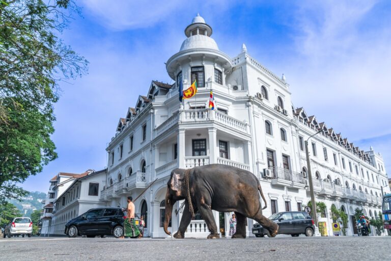 உலகை திரும்பிப்பார்க்க வைக்கவுள்ள கண்டி!