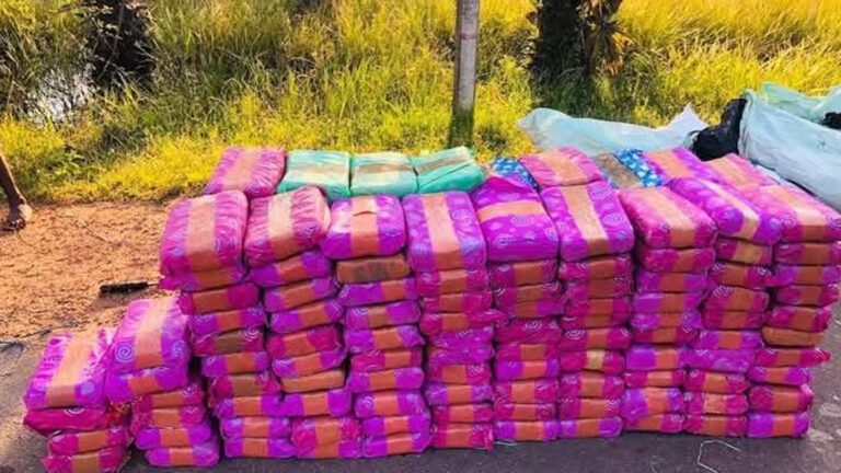 கிளிநொச்சியில் சிக்கிய அதிகளவான கஞ்சா!