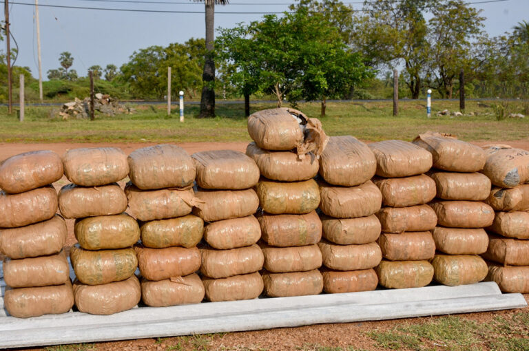 தலைமன்னாரில் சிக்கிய 46 கஞ்சா பொதிகள்!