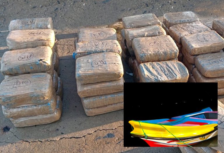 வடக்கில் சிக்கிய பெறுமளவான கஞ்சா!