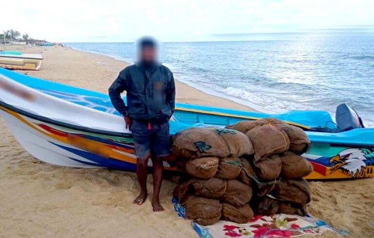 வடக்கில் சிக்கிய பெருந்தொகை கேரள கஞ்சா!