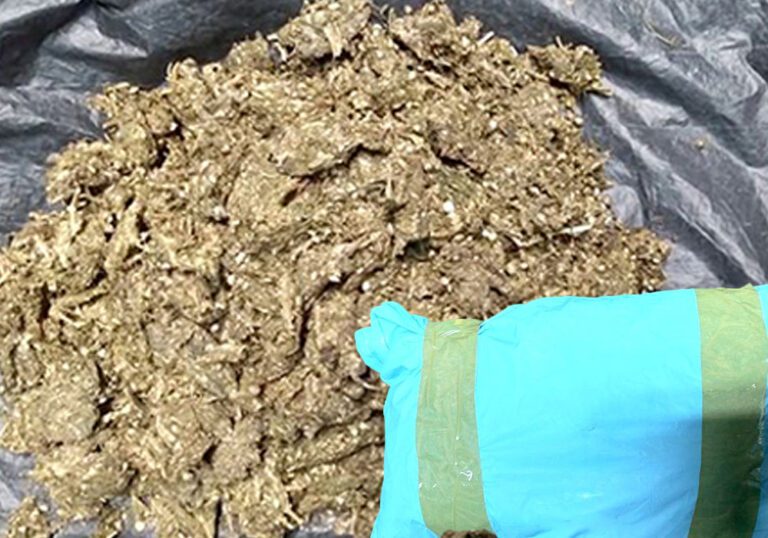 கல்பிட்டியில் சிக்கிய கஞ்சா!