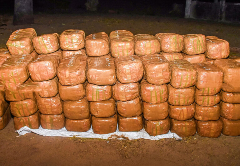 பேசாலையில் சிக்கிய பெருந்தொகை கஞ்சா!