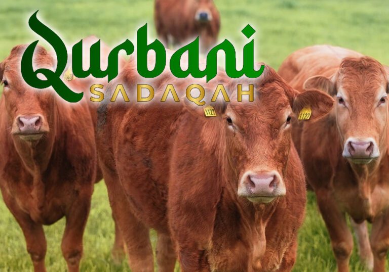 நாகவில்லுவில் இம்முறையும் கூட்டு குர்பானி!