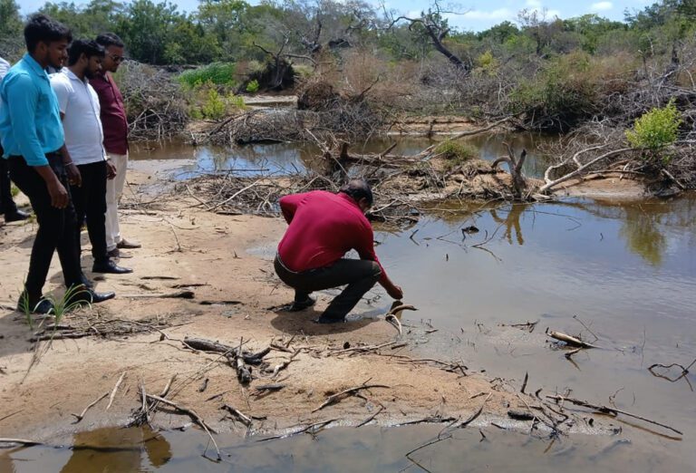 வடக்கில் அதிகரித்துள்ள சட்ட விரோத மணல் அகழ்வு!