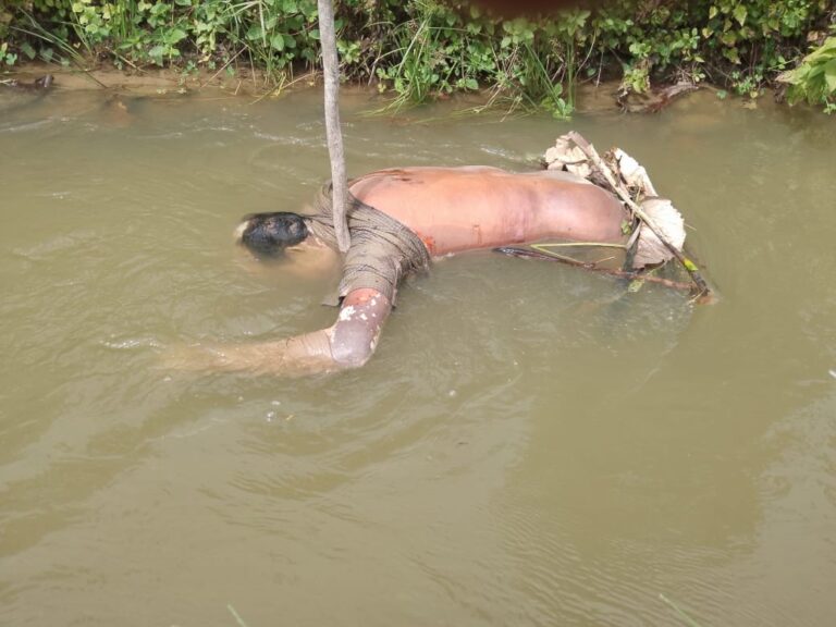 வாய்க்காலிள் மிதந்து வந்த சடலம்!