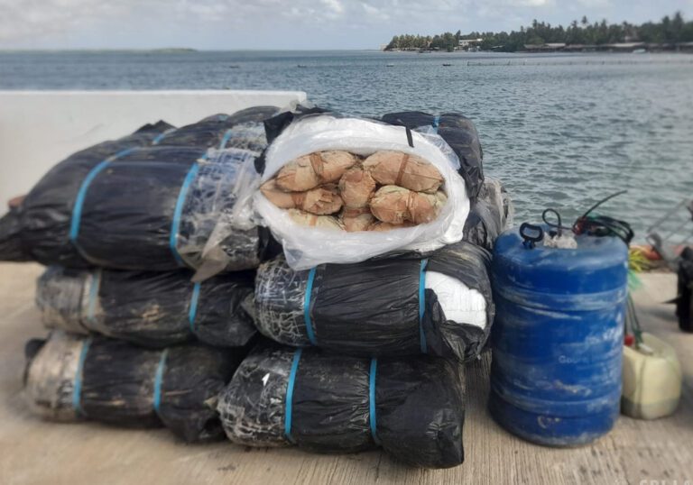 கல்பிட்டியில் சிக்கிய கடத்தல் பீடி இலைகள்!