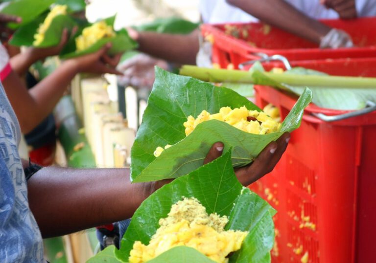 நாடு முழுவதும் 19,185 போசன் தன்சல்!