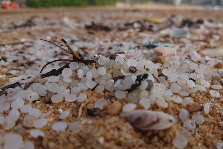 மன்னாரில் கரையொதுங்கிய மர்ம பொருட்கள்!