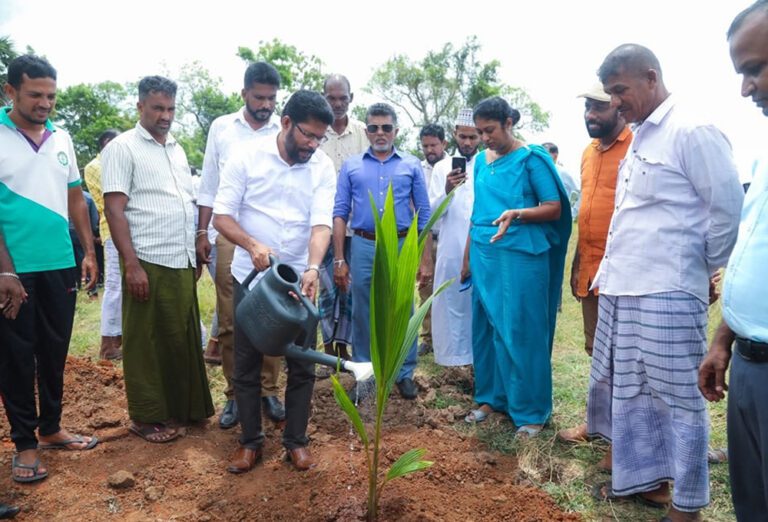 பொலன்னறுவையில் தென்னங்கன்றுகள் வழங்கும் நிகழ்வு!