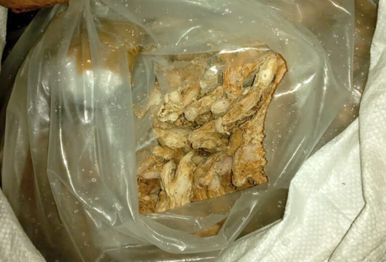 கல்பிட்டியில் சிக்கிய கடத்தல் பொருட்கள்!