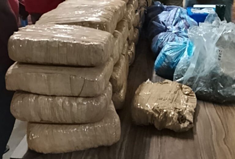 வடக்கில் சிக்கிய பெருமளவு கஞ்சா!