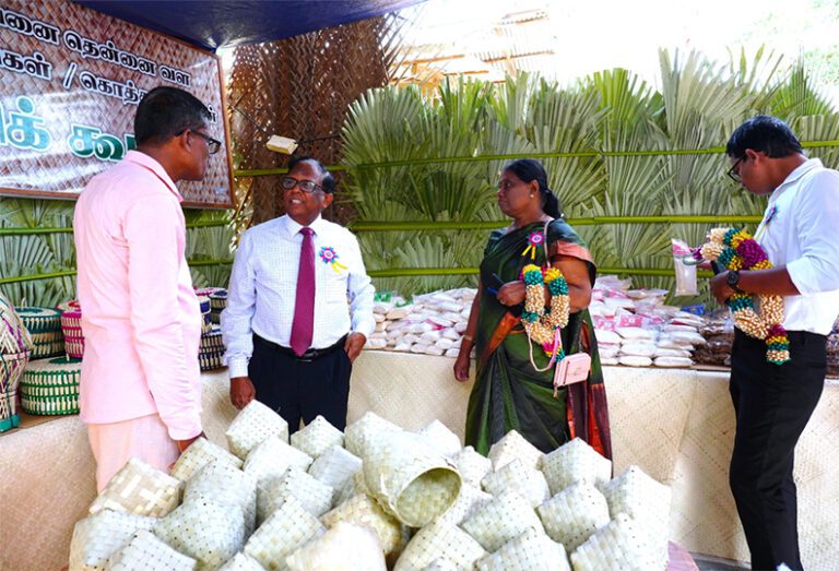 வடக்கில் ஆரம்பமான பனை எழுச்சி வாரம்!