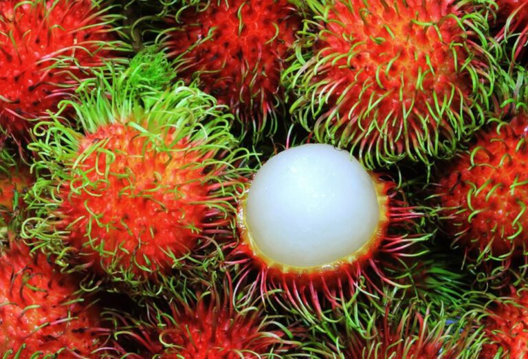 ரம்புட்டானால் நேர்ந்த கொடூரம்!