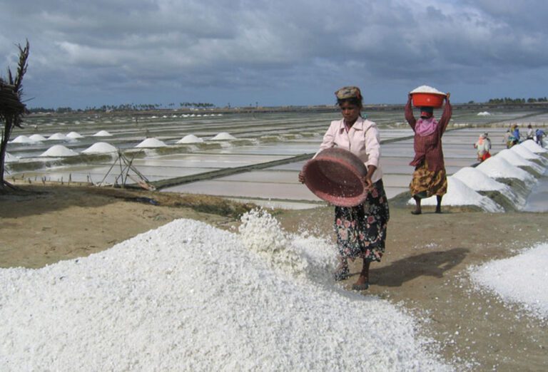 சடுதியாக குறைந்த உப்பின் விலை!