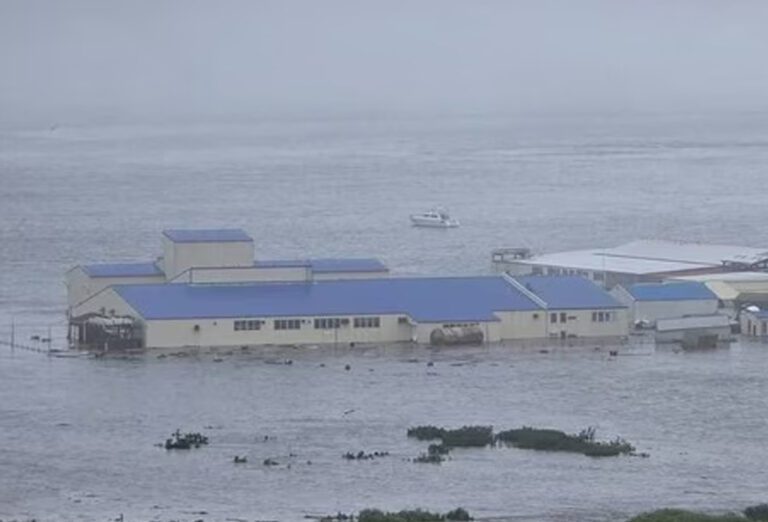 13 அடி உயரத்திற்கு பாய்ந்த சுனாமி அலைகள்!