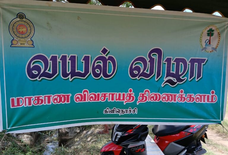 கிளிநொச்சியில் வயல் அறுவடை விழா