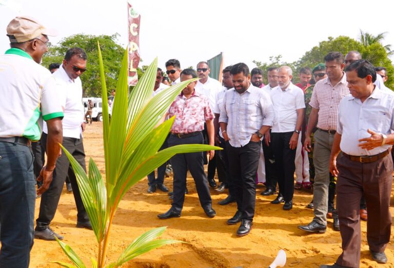 வடக்கில் ஜனாதிபதியால் தொடங்கப்பட்ட திட்டம்!