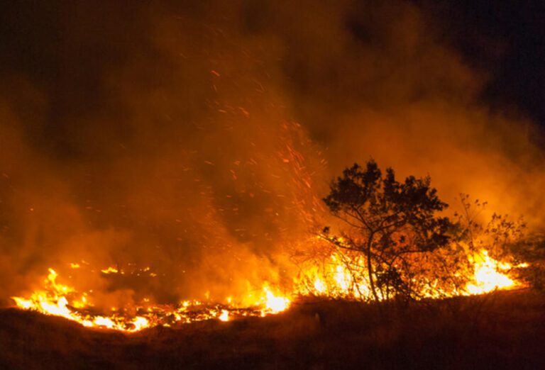 புத்தளம், ஆனவிலுண்தாவ பகுதியில் 20 ஏக்கர் நிலம் எரிந்து நாசம்!