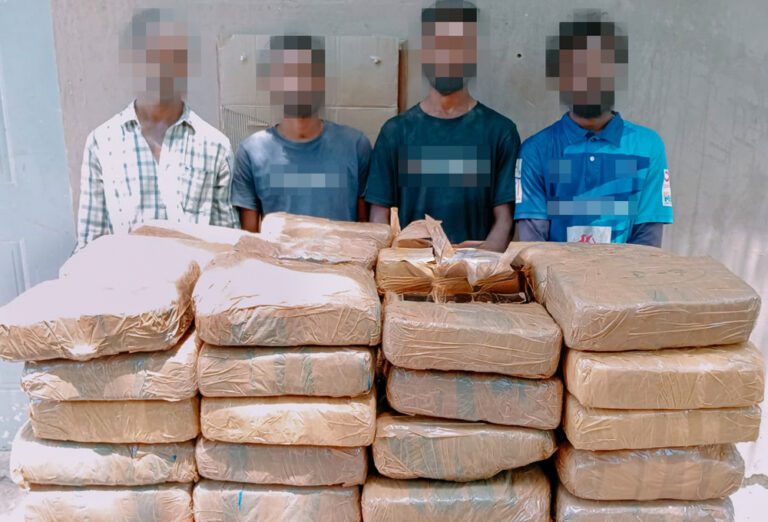 வடக்கில் சிக்கிய பாரியளவான கேரள கஞ்சா!