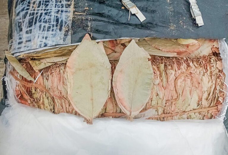 கற்பிட்டியில் கைப்பற்றப்பட்ட ஒருதொகை கடத்தல் பீடி இலைகள்!