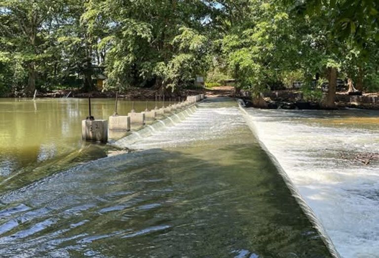 மாஓய நிரம்பி வழியும் அபாயம்!