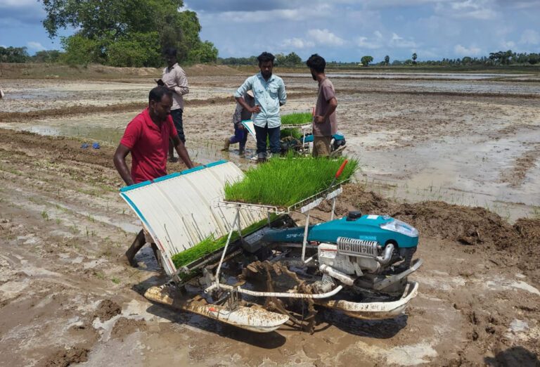 கிளிநொச்சியில் நவீன முறையில் நாற்றுநடுகை!