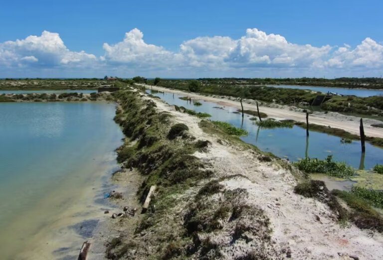இறால் பண்ணை நீர் தொட்டியில் விழுந்து ஒருவர் உயிரிழப்பு!