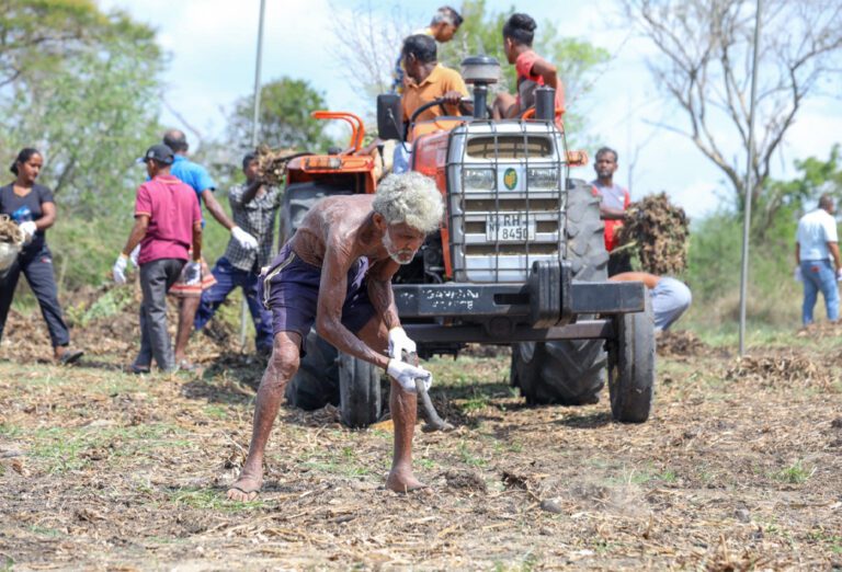 யானை வேலிக்கு அப்பால் ஒரு நிலையான தீர்வு!