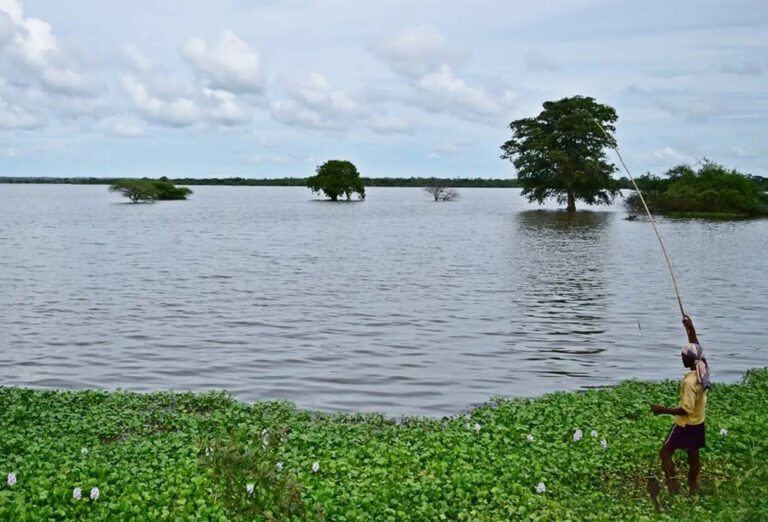 தப்போவ நீர்த்தேக்கத்தின் 06 வான் கதவுகள் திறப்பு!