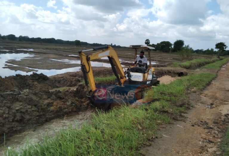 வெள்ளத்தால் முற்றாக அளிக்கப்பட நீலபெம்ம பகுதியின் விவசாயம்!