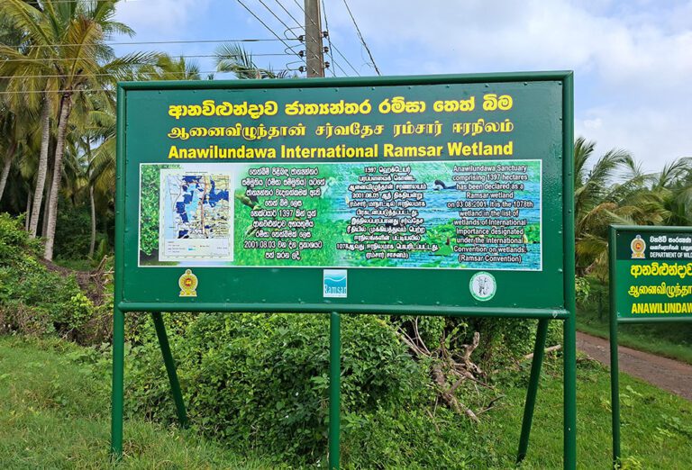 அழிவுப்பாதைக்குச் செல்லும் ஆனவிலுண்தாவ ராம்சர் தளம்!