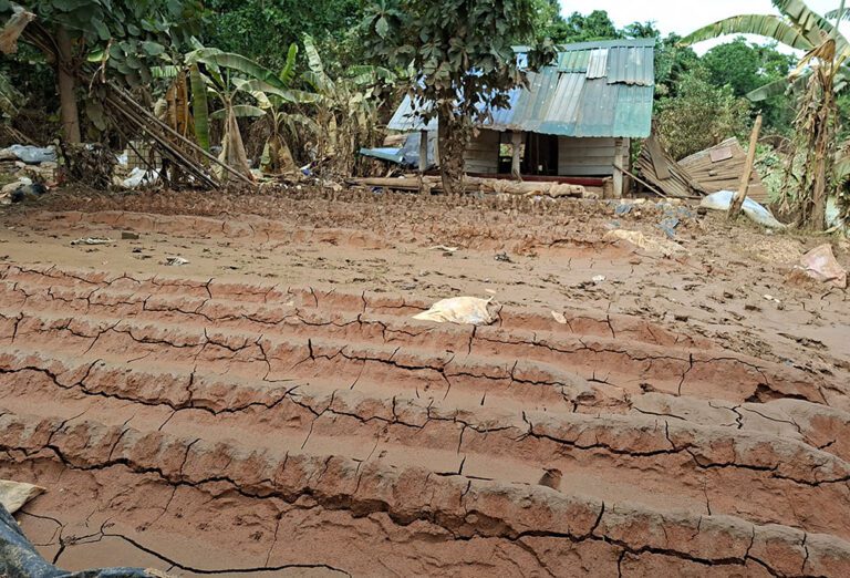 தன்கொடுவ பகுதியில் ஏராளமான செங்கல் சூளைகள் பாதிப்பு!