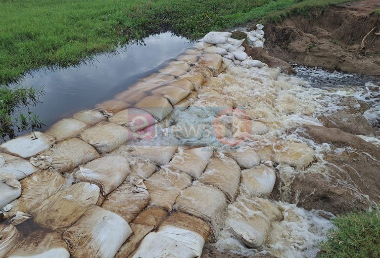 திம்பில்லா குளக்கட்டுக்கு நிரந்தரத் தீர்வு எப்போது?