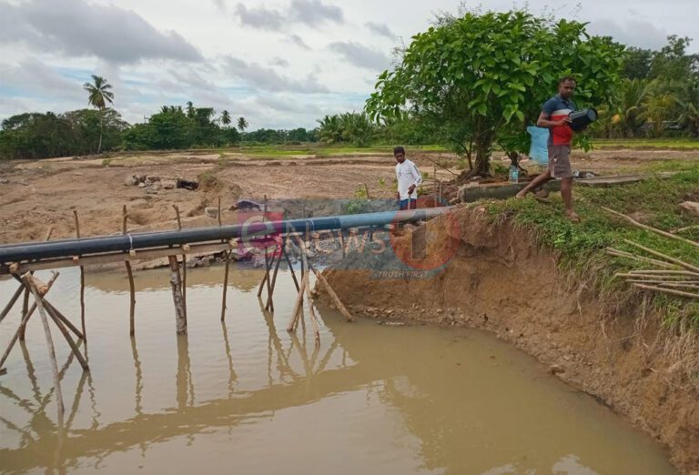 விவசாயத்திற்கு வெள்ளம் ஒரு தடையல்ல – தப்போவ விவசாயிகள்!