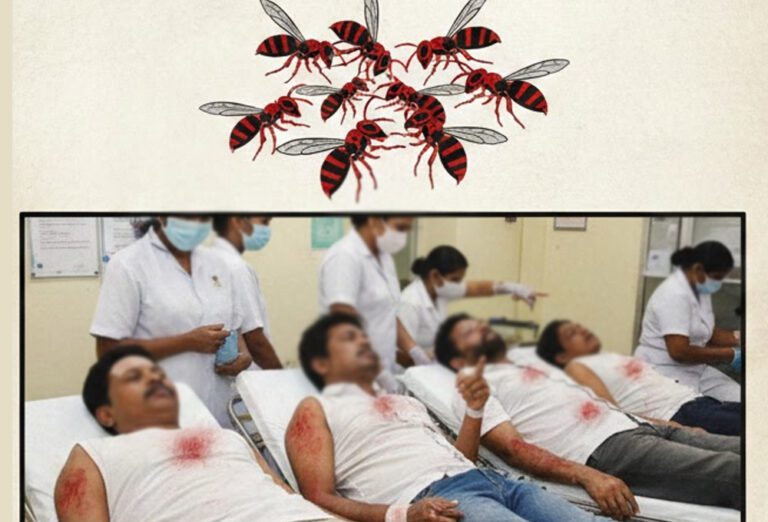 குலவிக்கொட்டுக்கு உள்ளாகிய தில்லையடி பகுதி மக்கள்!