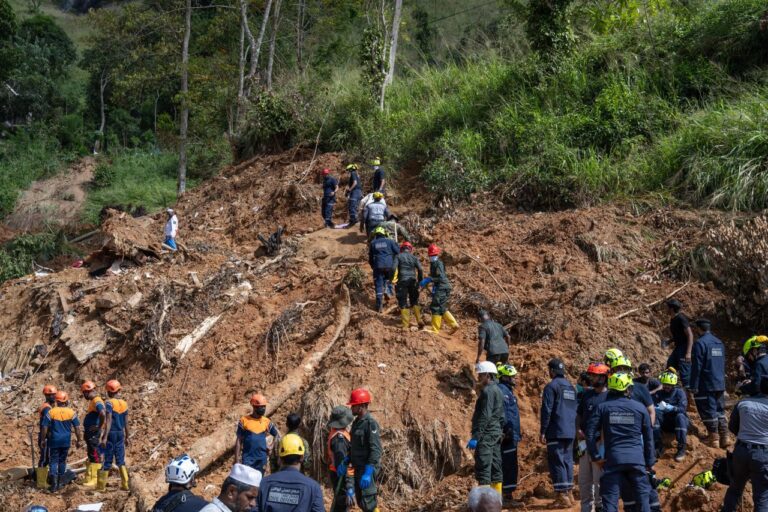 7 பேரின் சடலங்களை கண்டுபிடிக்க உதவிய அதே வீட்டில் வளர்ந்த நாய்!