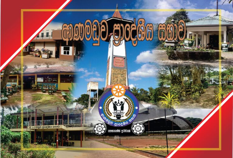 ஆனமடுவ பிரதேச சபை தேசிய மக்கள் சக்தி வசம்!