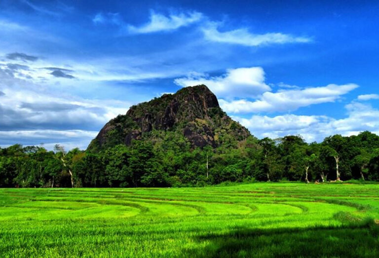 நில்கல காட்டை காப்பகமாக மாற்ற வர்த்தமானி வெளியீடு!