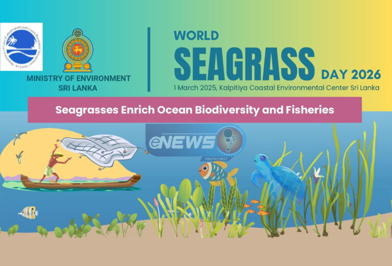 2026 உலக கடல் புல் தின தேசியக் கொண்டாட்டம் கற்பிட்டியில்!