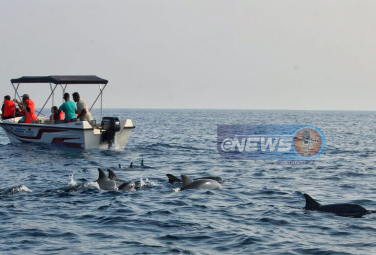 கல்பிட்டி கடலில் துள்ளிக்குதிக்கும் டொல்பின்கள்!