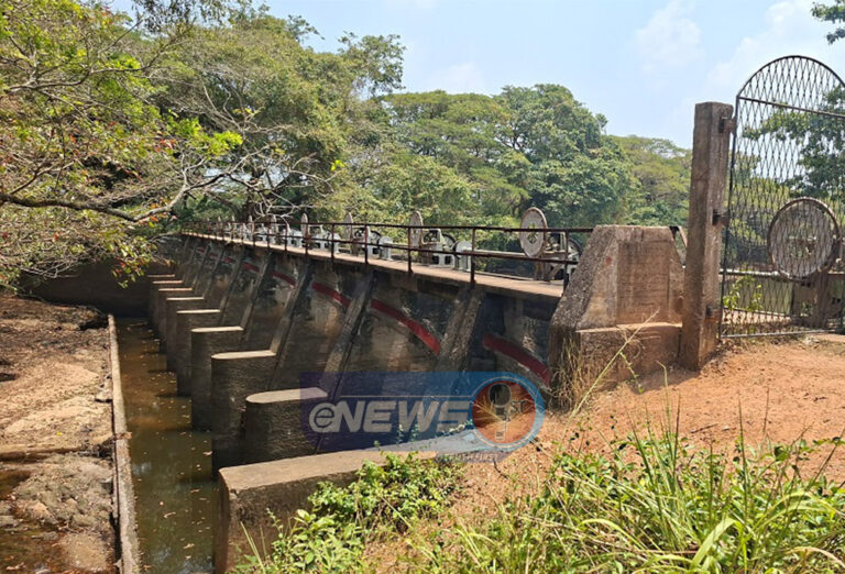 பிங்கிரிய கொளமுணு ஓயா காப்புக்காடு அதிகார வர்க்கத்தால் படுகொலை!