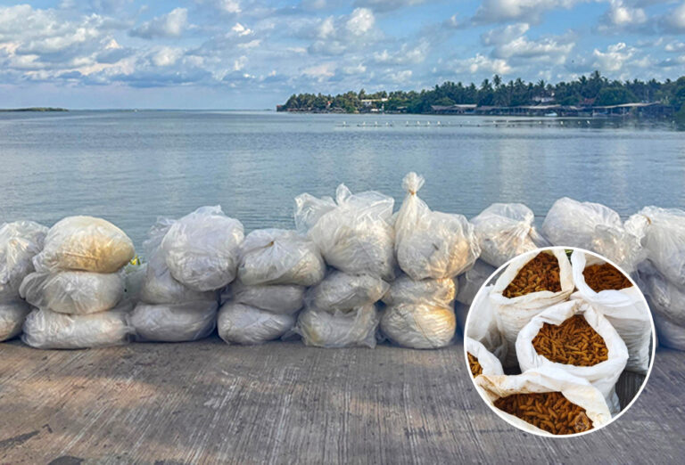 கல்பிட்டியில் கடற்படை நடத்திய வேட்டையில் சிக்கிய பாரிய கடத்தல்!