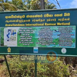 ramsar