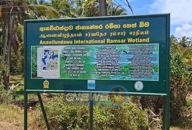 ஆனைவிழுந்தாவ ராம்சர் சரணாலயம் அழிவின் விளிம்பில்!