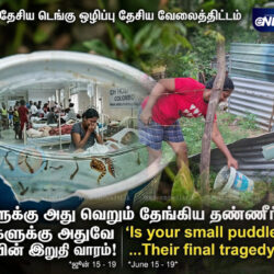 dengue