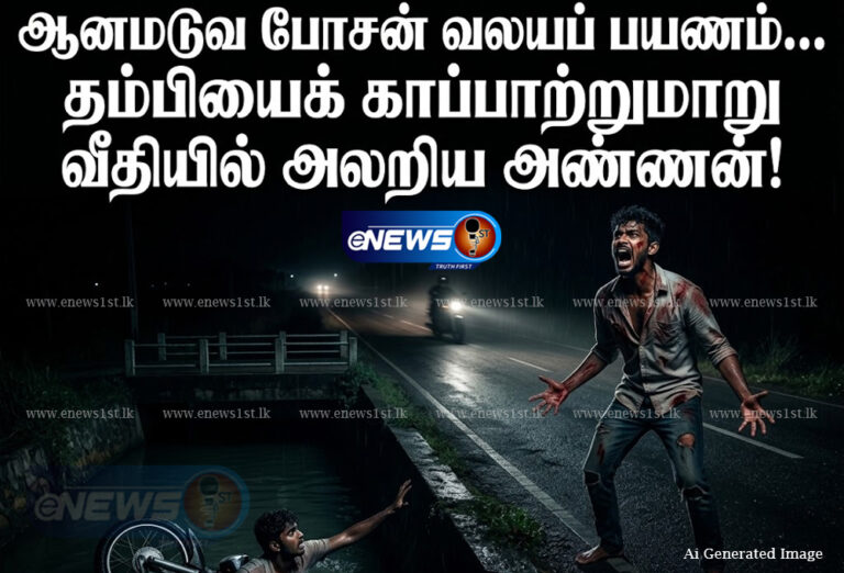 பொசன் பார்த்துவிட்டு திரும்பியபோது அண்ணன் கண்முன்னே தம்பிக்கு நேர்ந்த கதி!
