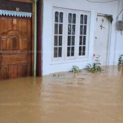 flood 2